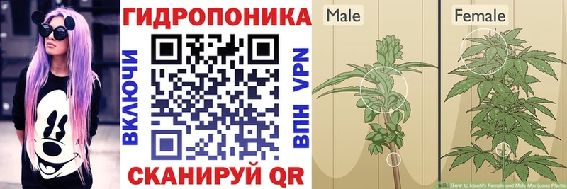 Виды наркотиков купить Ленинск-Кузнецкий Alpha PVP  Амфетамин  Гашиш  Бошки Шишки  Codein  Меф мяу мяу  КОКАИН 