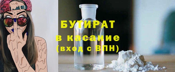 индика Протвино