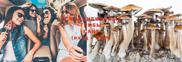 прущий лед Армянск