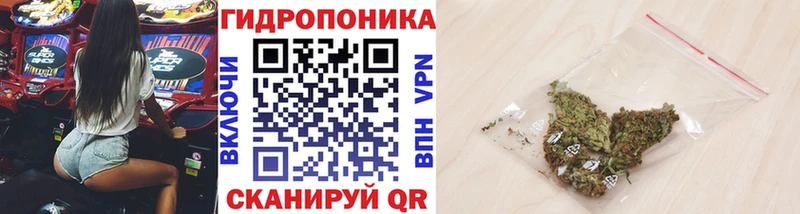 Канабис ГИДРОПОН  наркошоп  omg как войти  Ленинск-Кузнецкий 